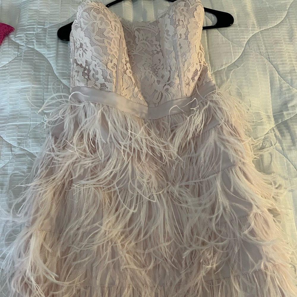 Blush Bebe mini dress